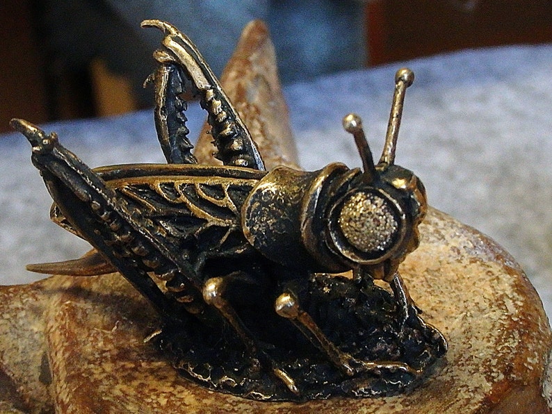 Klein souvenir Sprinkhaan, realistisch bronzen insect, handgemaakte krekel, kleine terrasdecoratie, symbool van gezellig huis, zomer en vakanties afbeelding 9