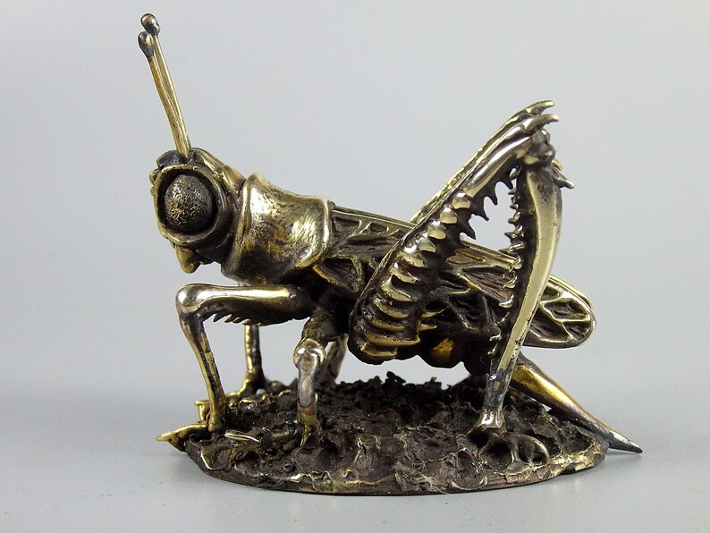 Klein souvenir Sprinkhaan, realistisch bronzen insect, handgemaakte krekel, kleine terrasdecoratie, symbool van gezellig huis, zomer en vakanties afbeelding 7