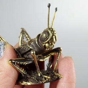 Klein souvenir Sprinkhaan, realistisch bronzen insect, handgemaakte krekel, kleine terrasdecoratie, symbool van gezellig huis, zomer en vakanties afbeelding 5