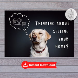 Réflexion d'un vendeur de maison, recto de carte postale marketing Funny Dog Farm, courtier en expédition de quartier, téléchargement PDF, génération de leads