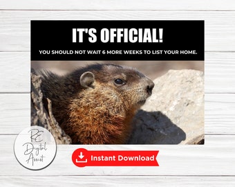 Groundhog Day Real Estate Postcard Front | February Seller Leads Neighborhood Farming Agent Broker Pop By Tag Mailer, Download PDF 4x6 5x7