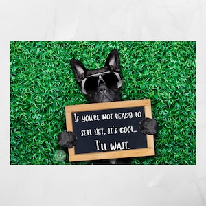 Venditore immobiliare aspetta, divertente cartolina di marketing per fattoria di cani, agente di posta di quartiere, agente di posta ...