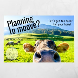 Planning to Moove Real Estate Farm Marketing Postcard Front |  Home Seller Cow Neighborhood Mailer | Funny Agent Broker Download PDF 4x6
