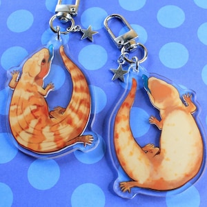 Blue Tongued Skink Acrylic Keychain