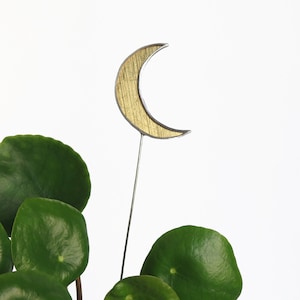 Celestial Moon Plant Pot Accessory, Planter Stake, Garden Art Ornaments , Plant Decor, Terrarium Decor, Plant Stick, Plant Marker, Crescent