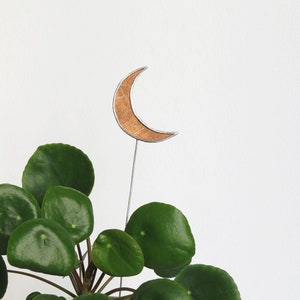 Celestial Moon Plant Pot Accessory, Planter Stake, Garden Art Ornaments , Plant Decor, Terrarium Decor, Plant Stick, Plant Marker, Crescent