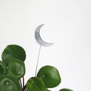 Celestial Moon Plant Pot Accessory, Planter Stake, Garden Art Ornaments , Plant Decor, Terrarium Decor, Plant Stick, Plant Marker, Crescent