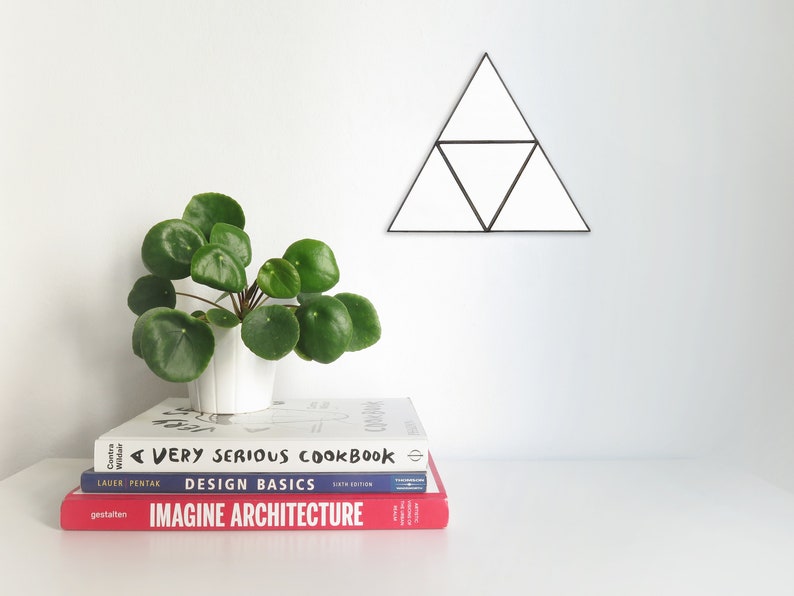 May include: A stack of three books on a white surface. The top book is white with black text that reads "A Very Serious Cookbook". The middle book is blue with white text that reads "Design Basics Sixth Edition". The bottom book is red with white text that reads "Imagine Architecture". A small green plant is in a white pot to the left of the books. A black geometric triangle wall decor is on the white wall behind the books.