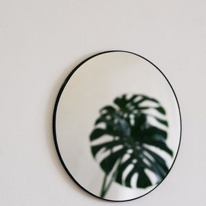 May include: A round mirror with a black frame hangs on a white wall. The reflection in the mirror shows a green leafy plant.