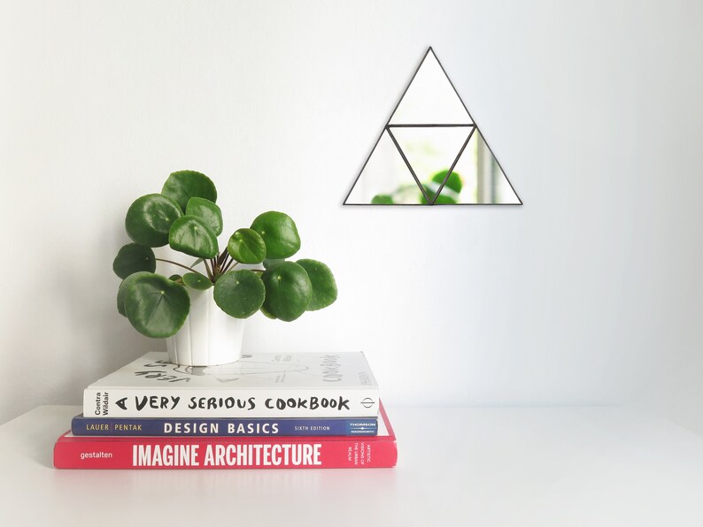 May include: A stack of three books on a white surface. The top book is white with black text that reads "A VERY SERIOUS COOKBOOK". The middle book is blue with white text that reads "DESIGN BASICS". The bottom book is red with white text that reads "IMAGINE ARCHITECTURE". A small green plant is in a white pot to the left of the books. A black triangular mirror is hanging on the wall behind the books.