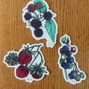 Triple Berry Sticker 3-Pack