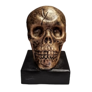 Skull Statue w Optional Custom Engraving and Base, Skull Statue, Skull, Skull Decoration, Skull Award, Skull Gift, Skull Decor, Made in USA