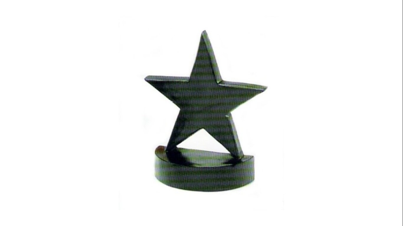 Star Statue With Optional Custom Engraving and Base Star Etsy