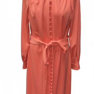 Authentic Vintage 1970s Dress!