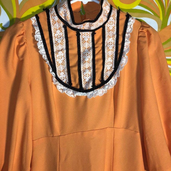 Authentic Vintage 70s Prairie Dress! - image 2