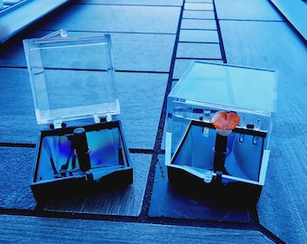 Set of ten perky boxes with black &quot;perky perch&quot; inserts