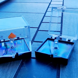 Set of ten perky box display cases with colorless &quot;perky perch&quot; inserts