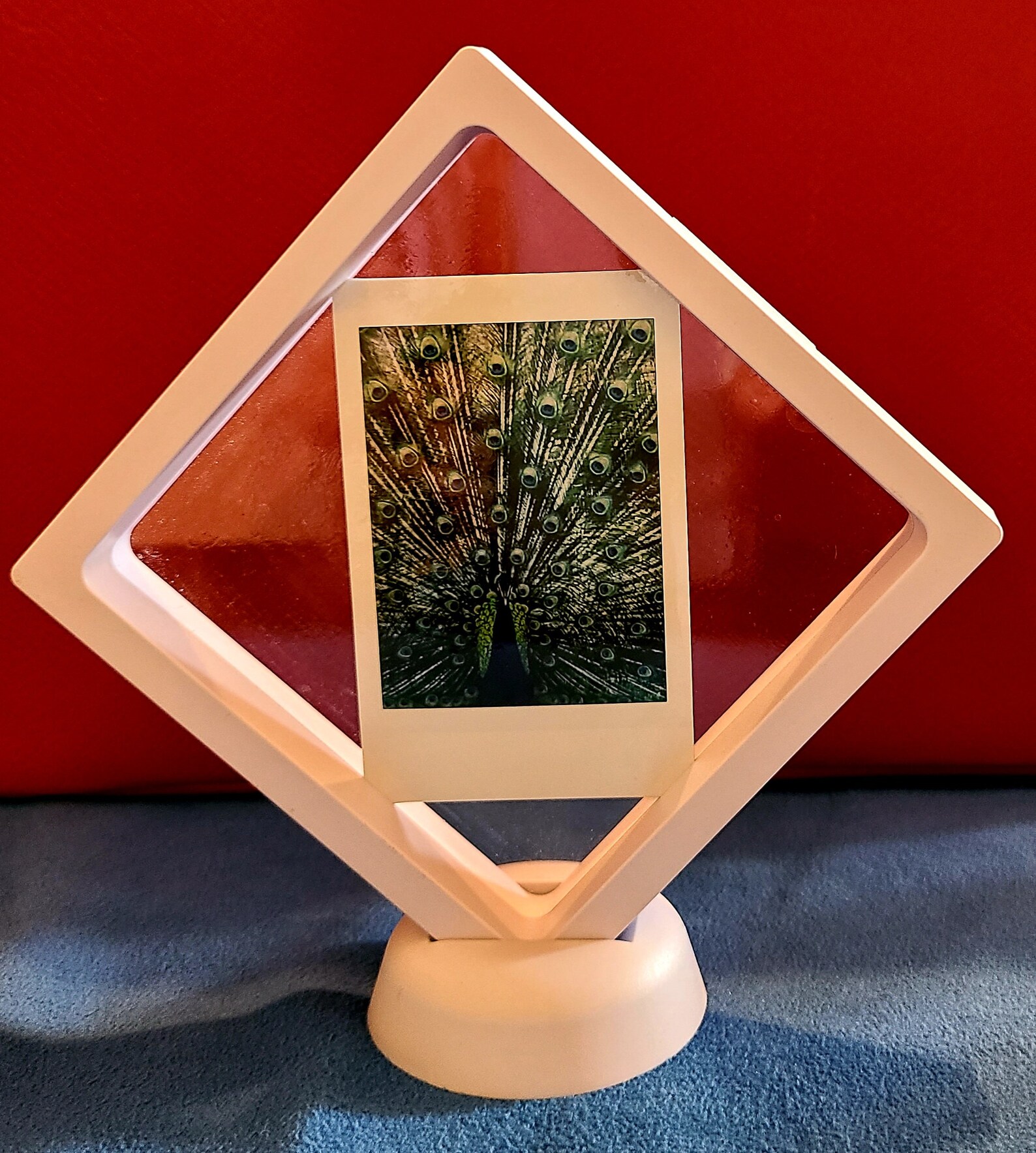 4.25 x 4.25 white floating display case Etsy