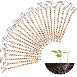 Pali per piante da elettrocoltura, confezione da 24, antenne da giardinaggio in rame per elettrocoltura, bobina in rame per elettrocoltura per una crescita migliorata