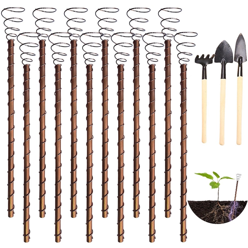 May include: Set of 12 brown metal plant supports with a spiral design. The supports are approximately 12 inches tall. The image also includes two gardening tools: a hand rake and a hand trowel.