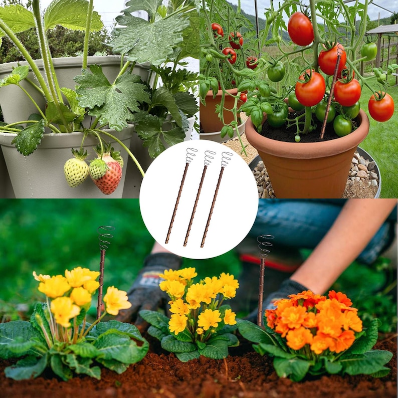 May include: Four brown metal plant supports with a spring at the top. The supports are shown in a white circle against a background of plants and flowers. The supports are used to help plants grow upright.