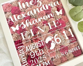 Baby Birth Stats Shadow Box, Custom Baby Name Frame, Floral Nursery Keepsake, Personalized Baby Girl Gift, Birth Announcement Decor