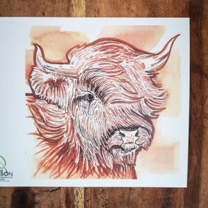 Highland cow