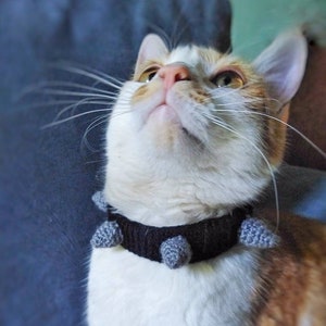 Spiked collar, Cat collar, crochet cat collar, cat scarf, kitty accessories