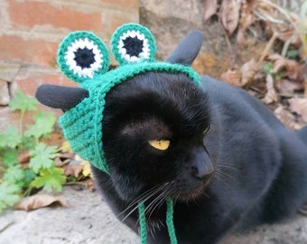 Frog hat, Cat hat, Hats for cats, Cat outfit, Pet costume, Costume for cats