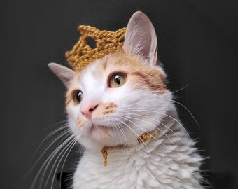 Crown for cat, Pet costume, Cat crown, King crown, Pet costume cat, Cat hat, Hats for cats, Cat outfit, Dog crown