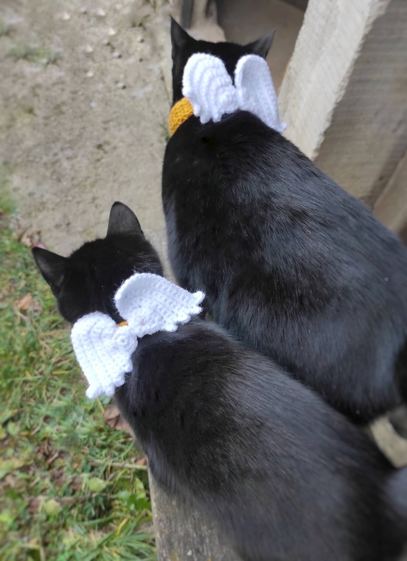 Cat Angel Wings Angel Wings Cat Scarf Cat Accessories Pet Etsy