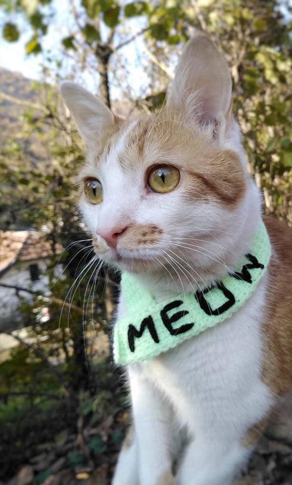 Meow cat collar 2025