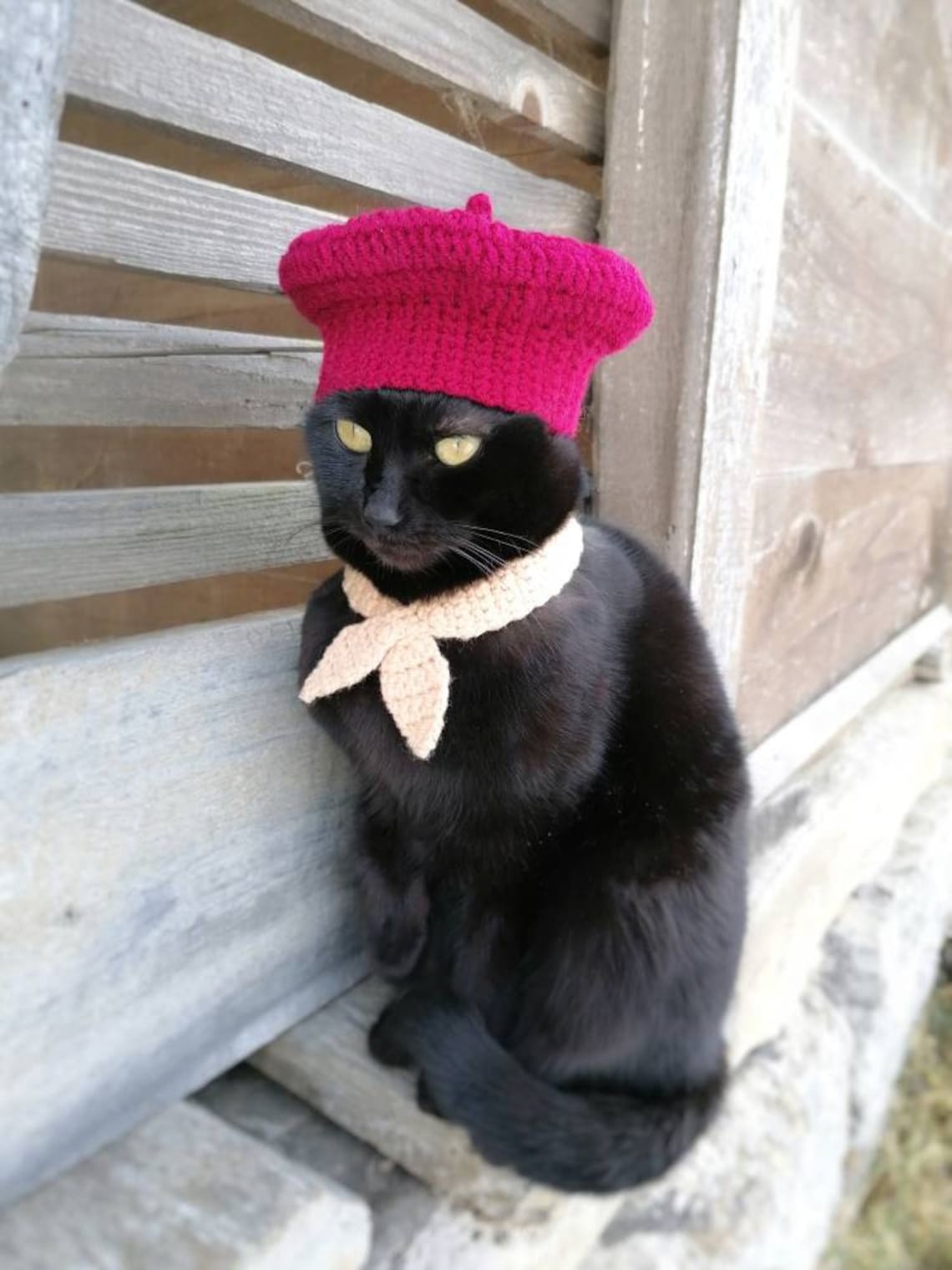 French beret Beret for cat Cat accessories Pet costume Pet | Etsy