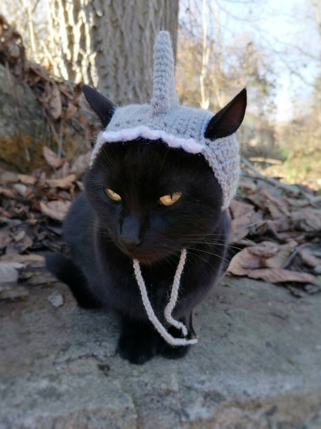 Shark Hat Cat Hat Hats for Cats Pet Costume Dog Costume Etsy Norway