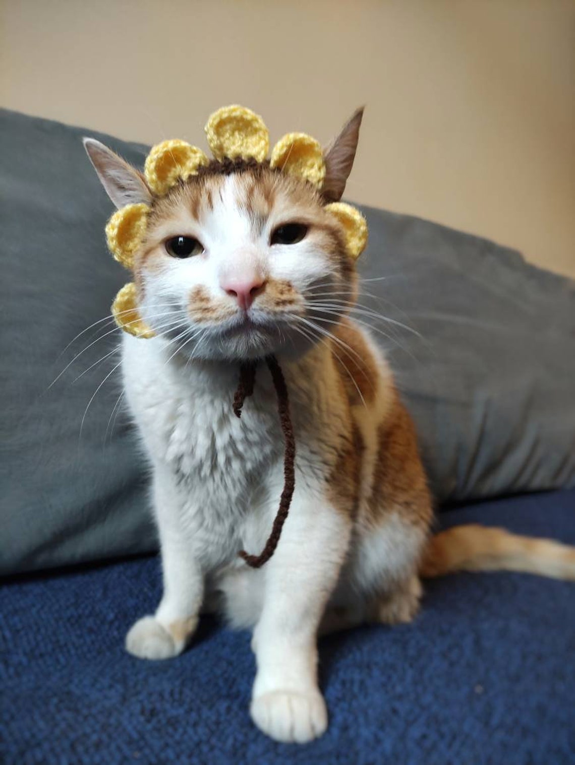 Sunflower Cat Hat Sunflower Hat Cat Outfit Cat Hat Hat for Etsy