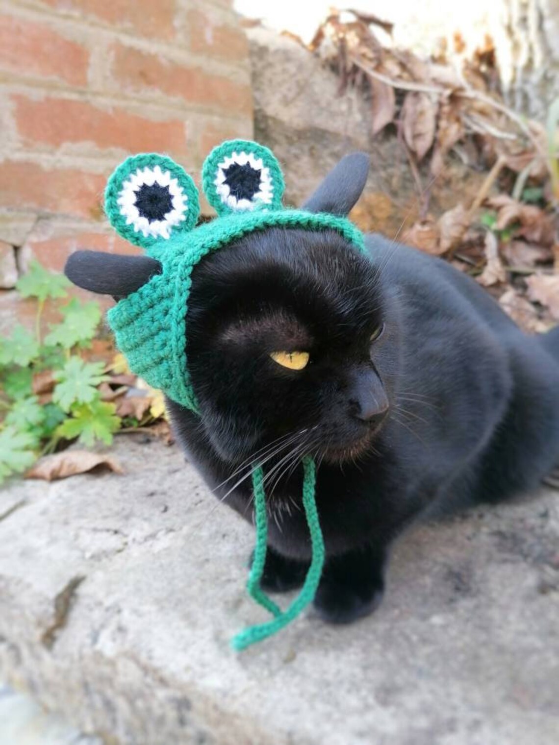 Frog Hat Cat Hat Hats for Cats Cat Outfit Pet Costume Etsy