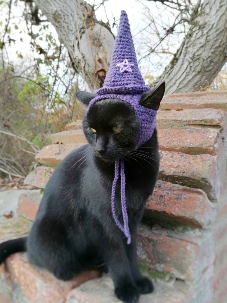 wizard cat costume