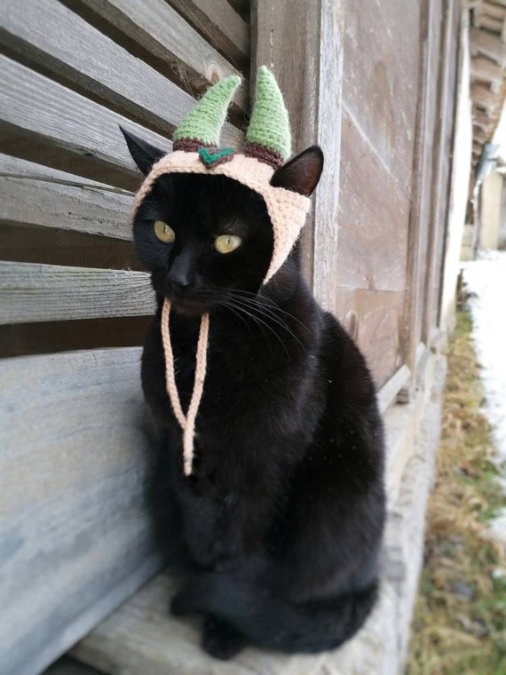 Cappello vichingo, cappello gatto, cappelli per gatti, costume da animale  domestico, costume da cane, costume per gatti, accessori gattino, cappello  per animali domestici, gatto costume animale domestico -  Italia