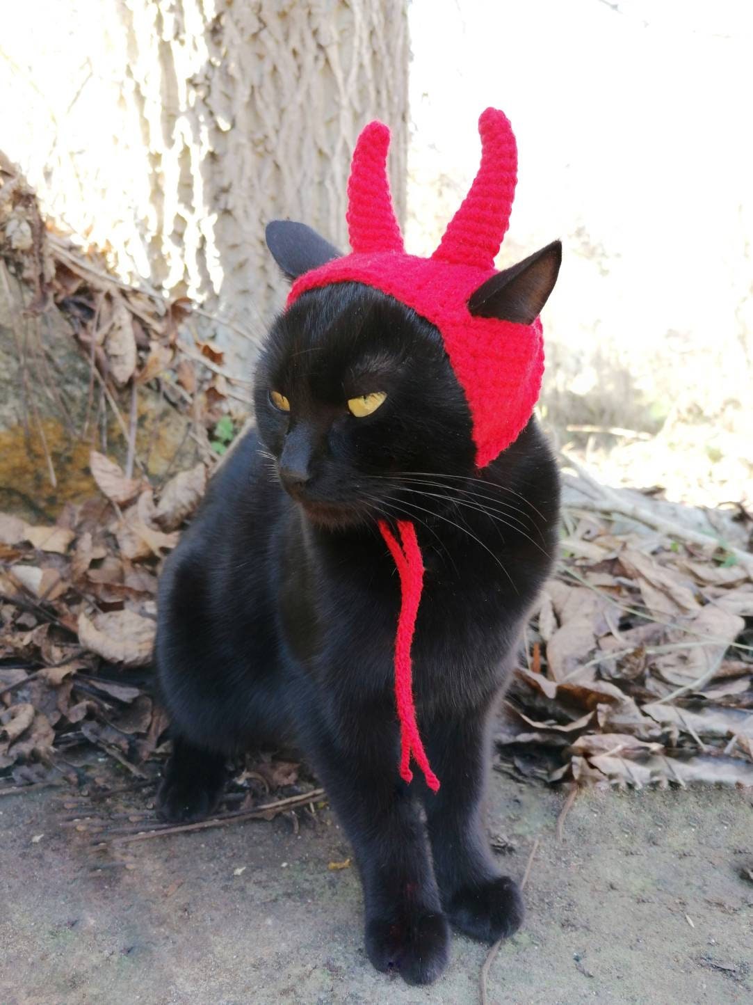 BESPORTBLE Haustier-Mützen-Set Mit Fliege - Süßes Cosplay Für Hunde & Katzen (Schwarz)