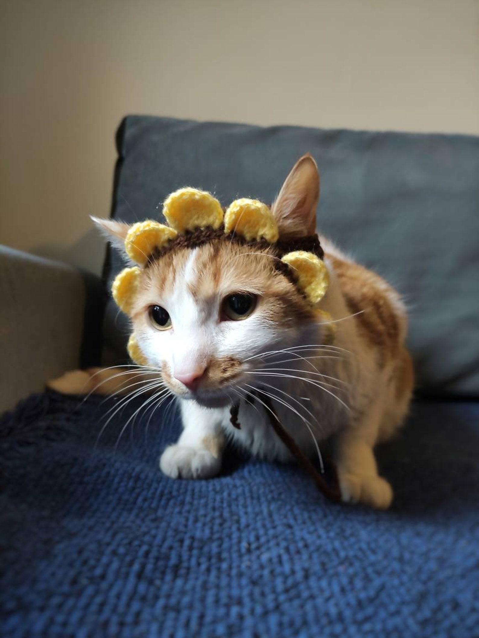 Sunflower Cat Hat Sunflower Hat Cat Outfit Cat Hat Hat for Etsy