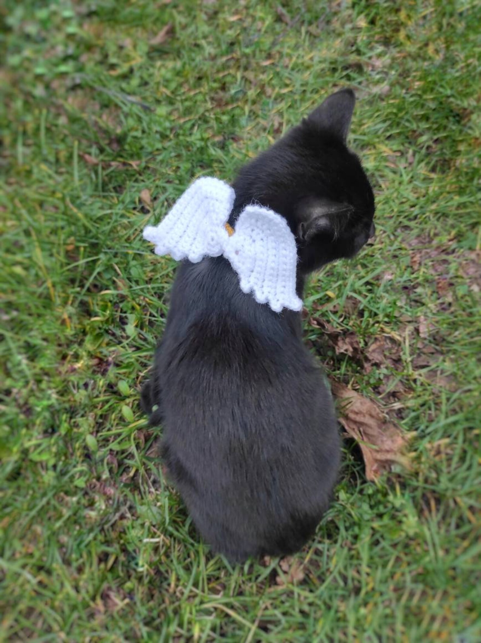 Cat Angel Wings Angel Wings Cat Scarf Cat Accessories Pet Etsy