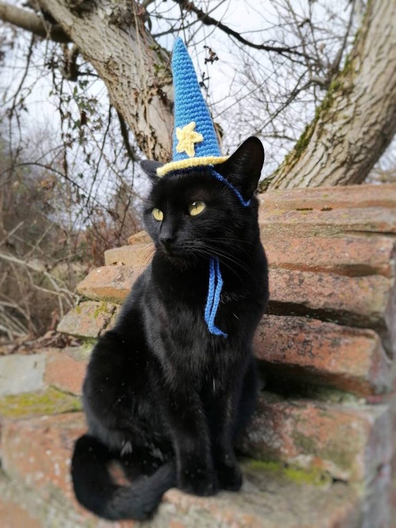 Cappello da mago Cappello gatto Cappelli per gatti Costume | Etsy Italia
