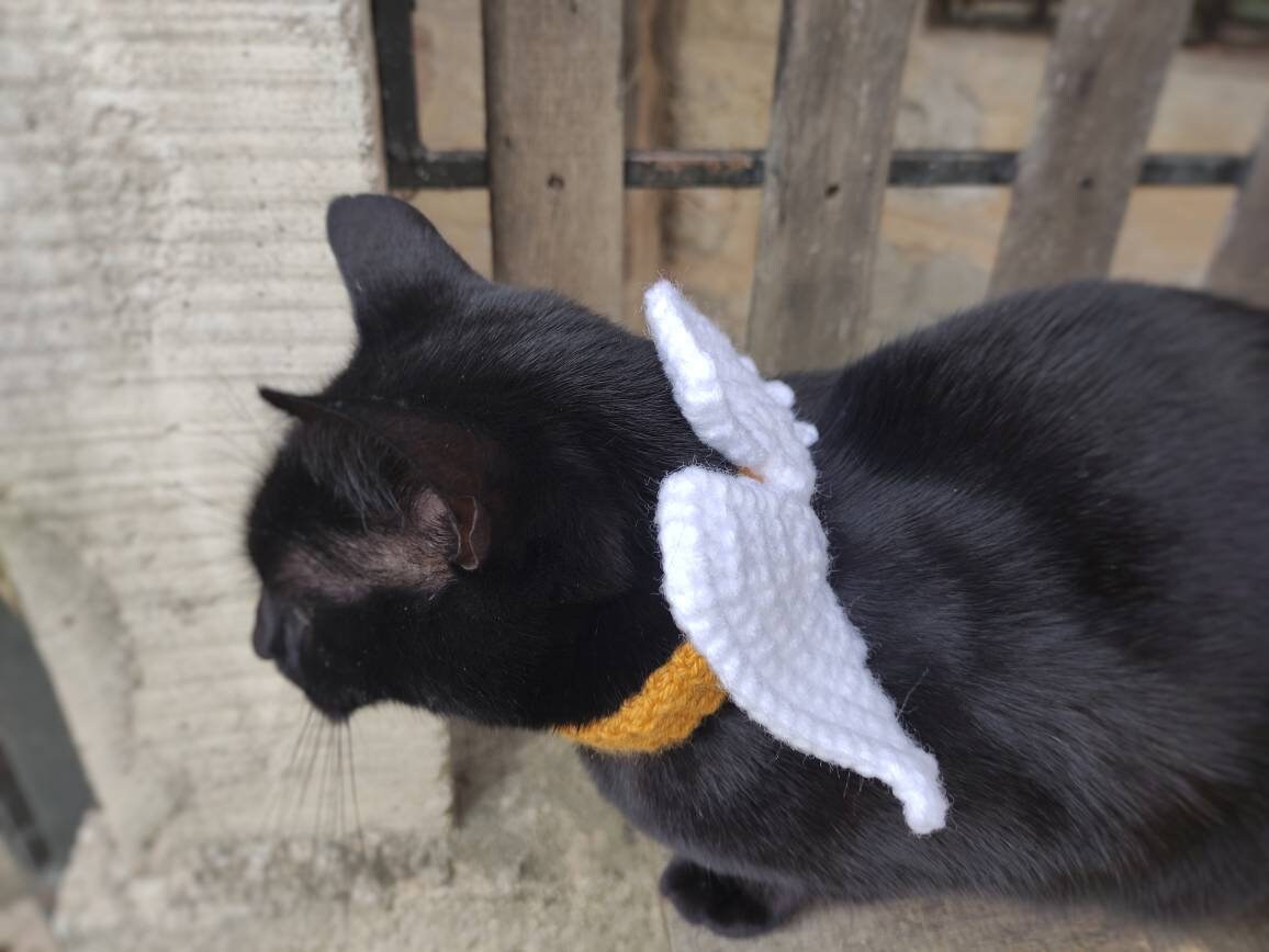 Cat Angel Wings Angel Wings Cat Scarf Cat Accessories Pet Etsy