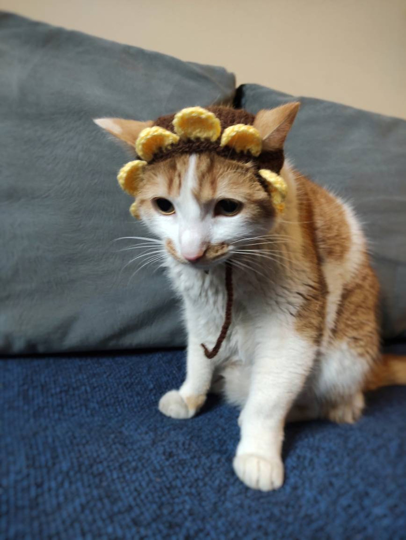 Sunflower Cat Hat Sunflower Hat Cat Outfit Cat Hat Hat for Etsy