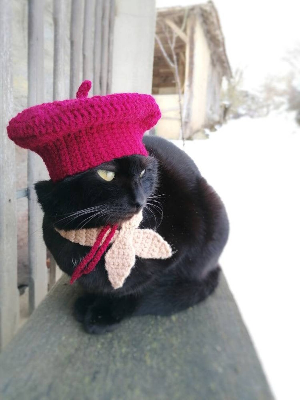 French Beret Beret for Cat Cat Accessories Pet Costume Pet - Etsy