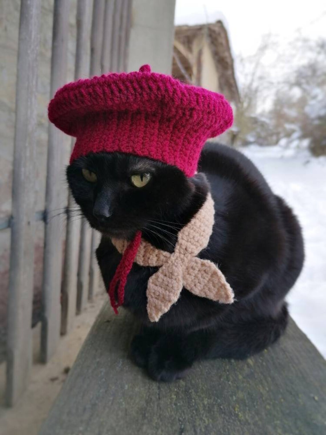 French Beret Beret for Cat Cat Accessories Pet Costume Pet | Etsy