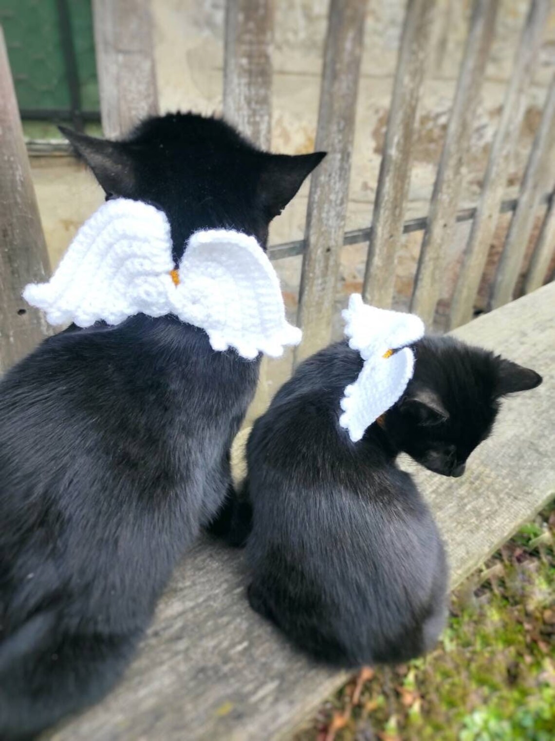 Cat Angel Wings Angel Wings Cat Scarf Cat Accessories Pet Etsy