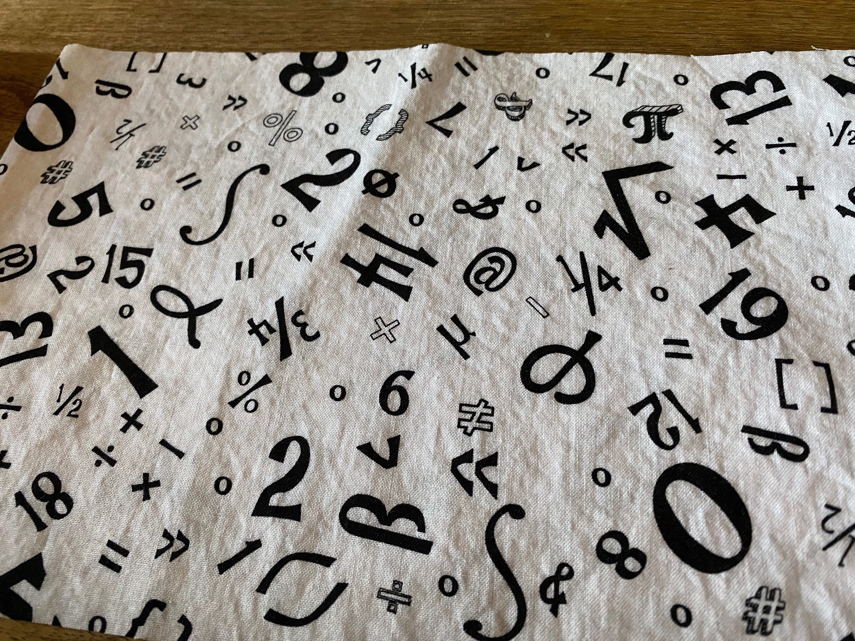 Reversible MATH Quilting Cotton Fabric Face Masks for Adult Buy one