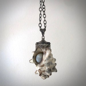 Peut inclure: Un collier pendentif unique avec un motif de coquillage. Le pendentif est orné d'un capuchon et d'une chaîne en métal argenté, avec une coquille d'aspect naturel contenant une pierre ronde de couleur claire. Le collier est suspendu sur un fond blanc uni.