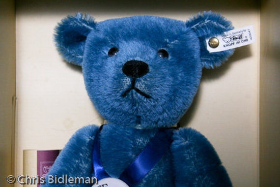 blue steiff bear